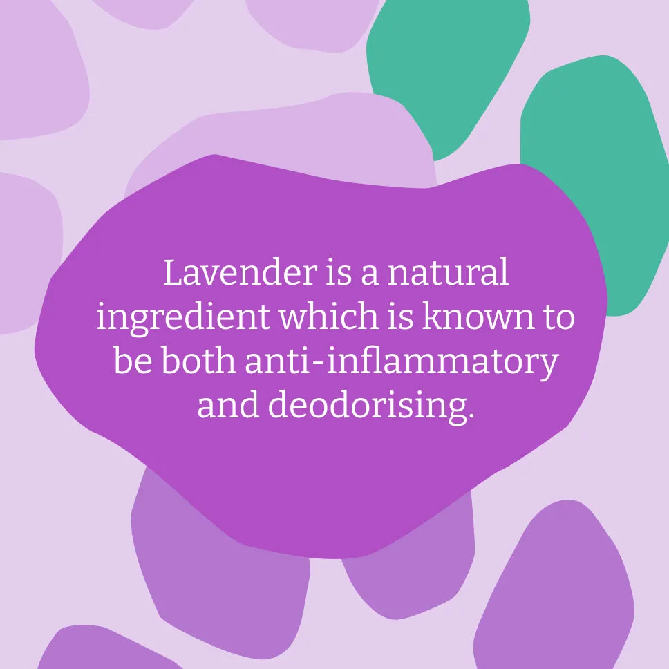 Faith in Nature Lavender hondenshampoo 5L navulling