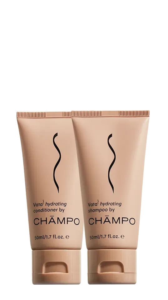 Chāmpo Vata hydrating discovery pack 2x50 ml droog haar