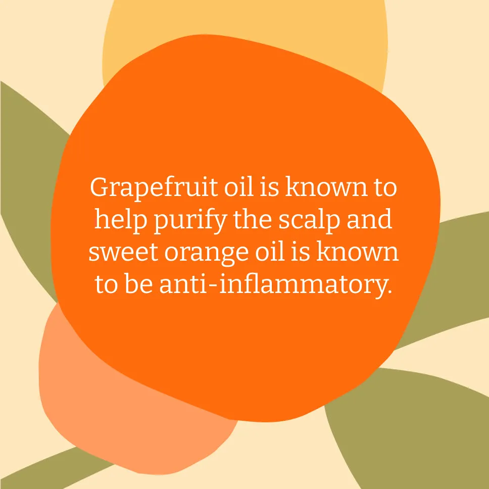 Faith in Nature Grapefruit & Orange shampoo set aluminium 2x500ml+2x2,5L