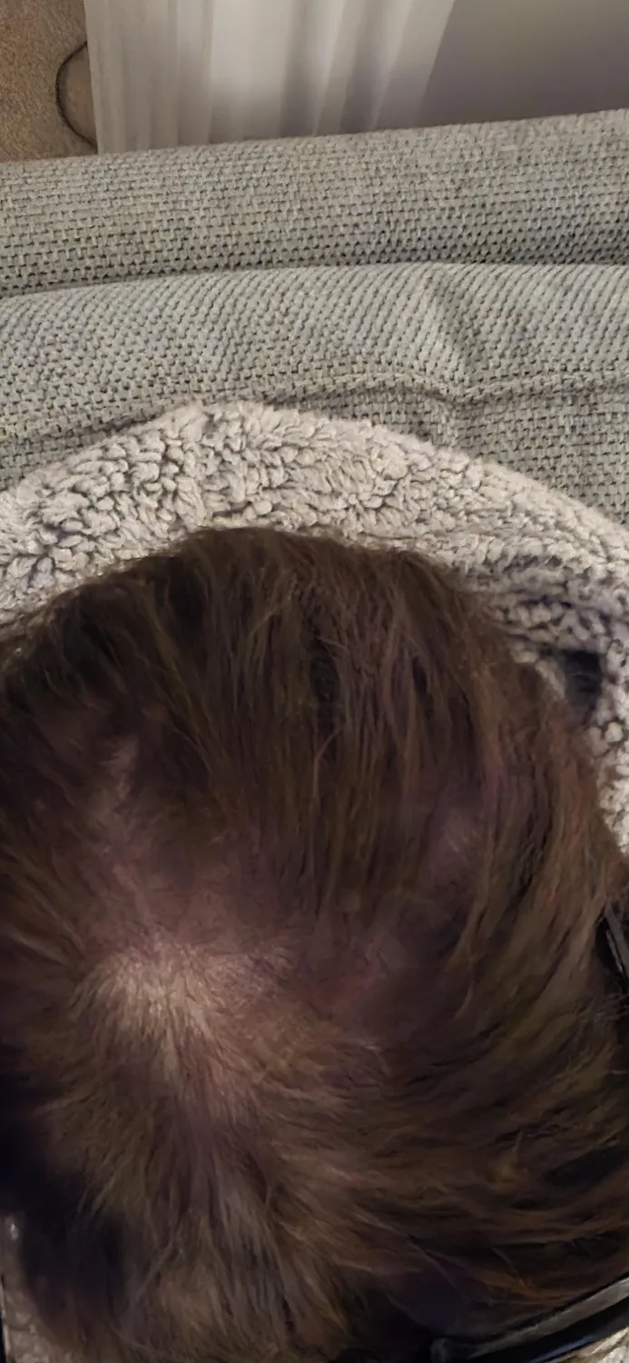 Chāmpo Pitta Ultimate Volumising System haarset 4-staps fijn haar