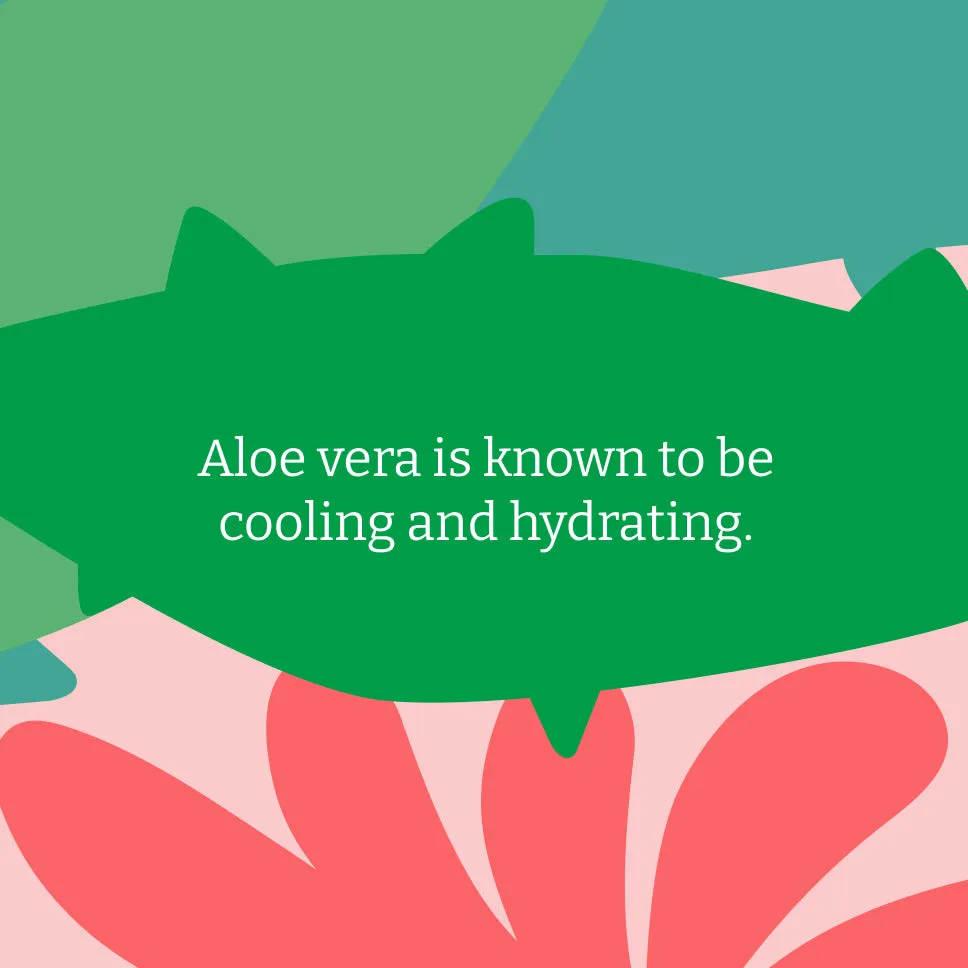 Faith in Nature Aloe Vera zeepblok natuurlijke huidzeep